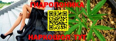 дмт Новозыбков