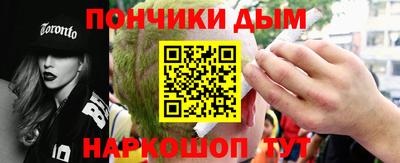 spice Новодвинск