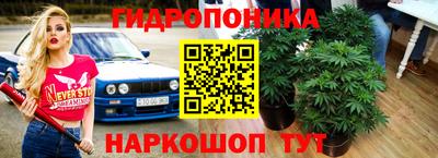 дмт Новозыбков