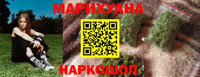 spice Новодвинск