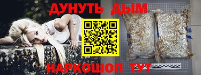 spice Новодвинск